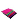 CARPETA SOLAP. PP F COLOR ROSA - Pack de 12 unidades