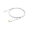 128358 Cable USB 3.2 Gen 2 C a C  M/M  2 0m  PD 100W   4K/60Hz  10Gbps  Blanco