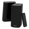 T100 Rango completo Negro Inalámbrico y alámbrico 20 W