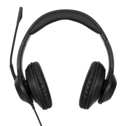 AEH102GL auricular y casco Auriculares Alámbrico Diadema Llamadas/Música USB tipo A Negro