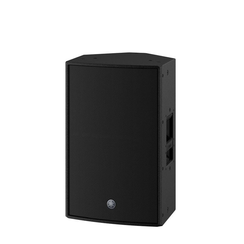 DZR12 De 2 vías Negro Alámbrico 2000 W
