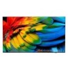 50HFL6214U 127 cm (50") 4K Ultra HD Smart TV Wifi Antracita 400 cd / m Pantalla flexible