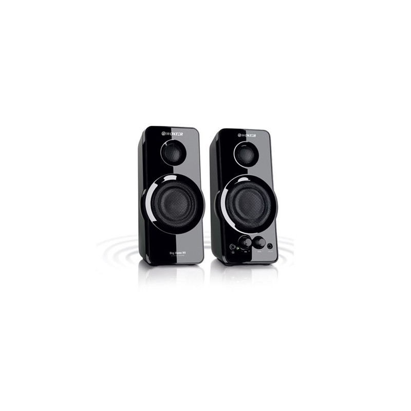 Big Bass 95 De 2 vías Negro Alámbrico 20 W