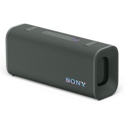 SRSULT30H Altavoz portátil estéreo Gris