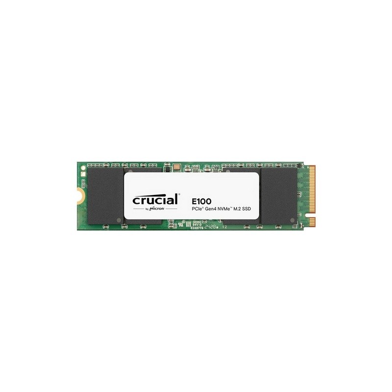 E100 480 GB M.2 PCI Express 4.0 NVMe