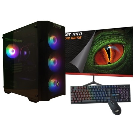 AMD Ryzen 5 4650G/16GB/1 Tb NVMe/Monitor 21.5 teclado y ratn Windows 11 Ordenador GamingPC
