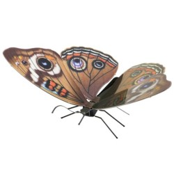 Metal Earth Buckeye