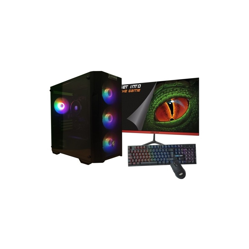 AMD Ryzen 5 4650G/16GB/1 Tb NVMe/Monitor teclado y ratn Ordenador GamingPC