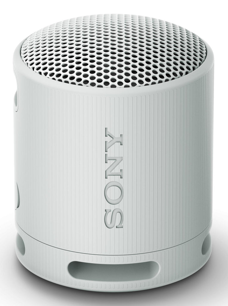 SRS-XB100 Altavoz monofnico porttil Gris