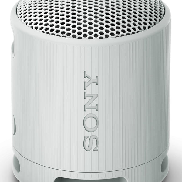 SRS-XB100 Altavoz monofnico porttil Gris