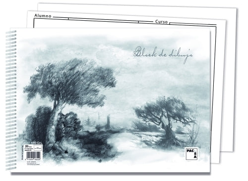 BLOCK DIBUJO PACSA F PROL. 20h REC.2T