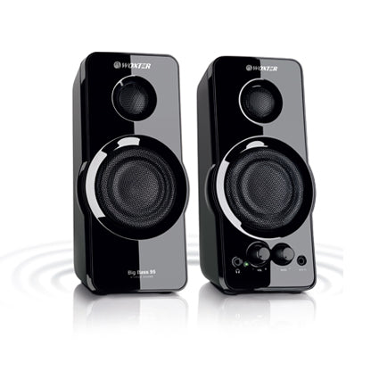 Big Bass 95 De 2 vas Negro Almbrico 20 W