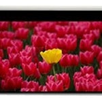 Pantalla 16:9 2656 x 1494mm pantalla de proyeccin 3 05 m (120")