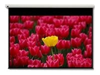 Pantalla 16:9 2656 x 1494mm pantalla de proyeccin 3 05 m (120")