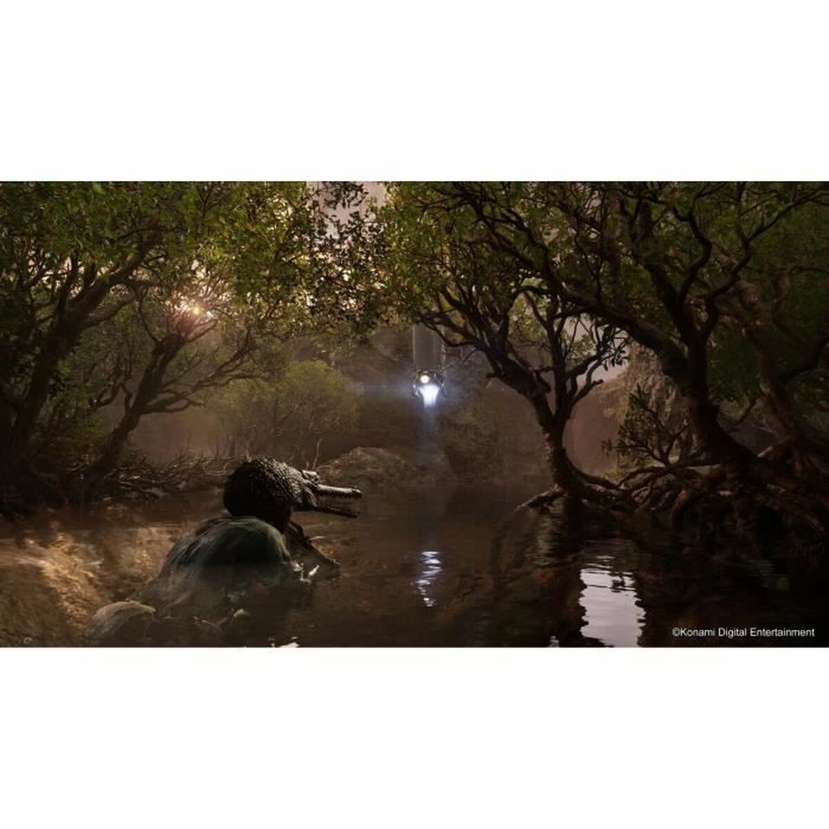 V4HBBFDE087FB8A3E1B14E60A637B802A2AR6915947P9