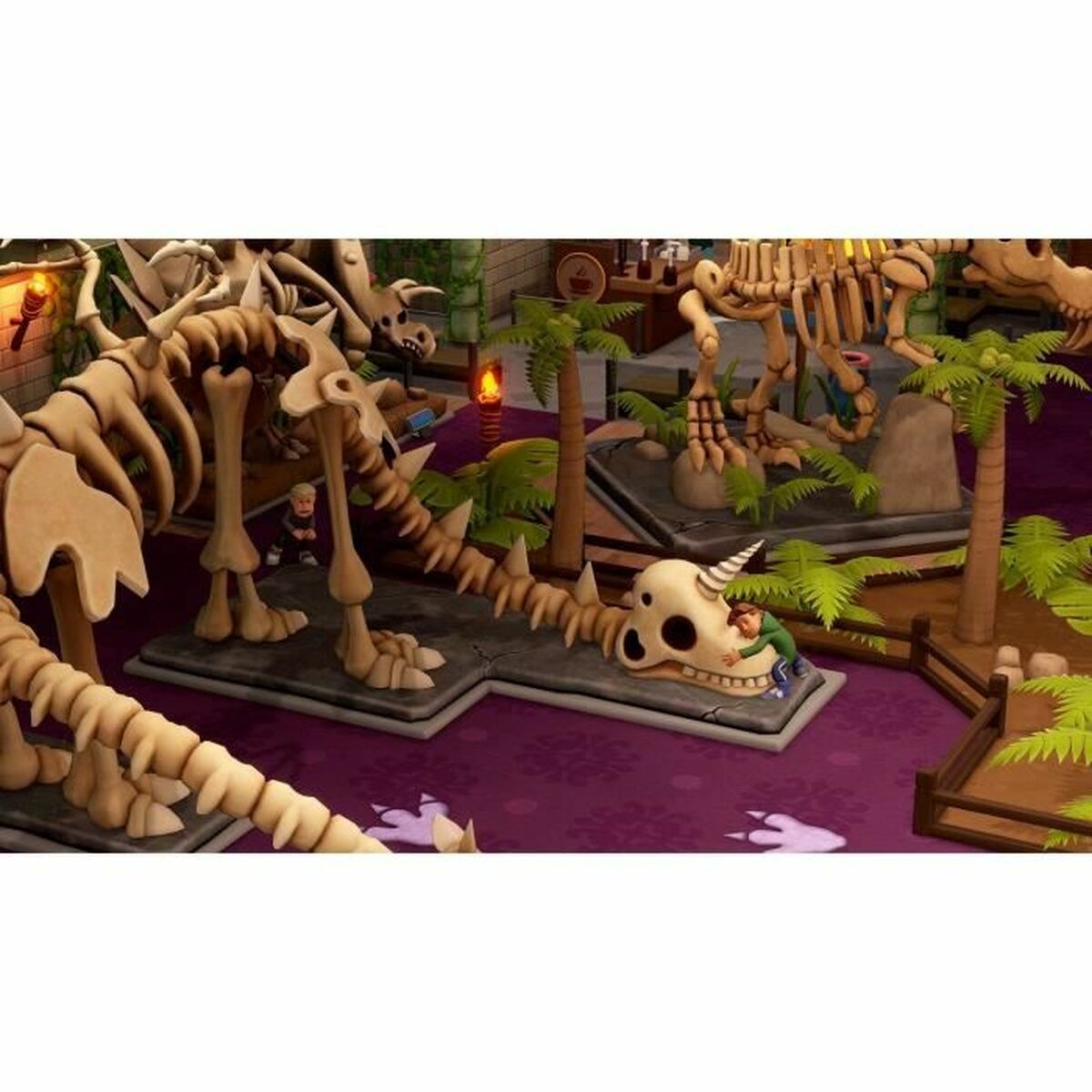 V5H1D369FF1F902DEE2A75041067365BD84R5559541P3