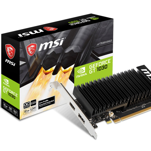 GeForce GT 1030 2GHD4 LP OC