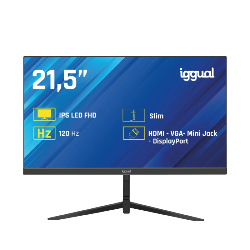 Monitor 21 5" IPS 1ms FHD 120Hz VGA HDMI DP