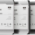 HAS5300-12T disco duro interno 12 TB 7200 RPM 256 MB 3.5" SAS