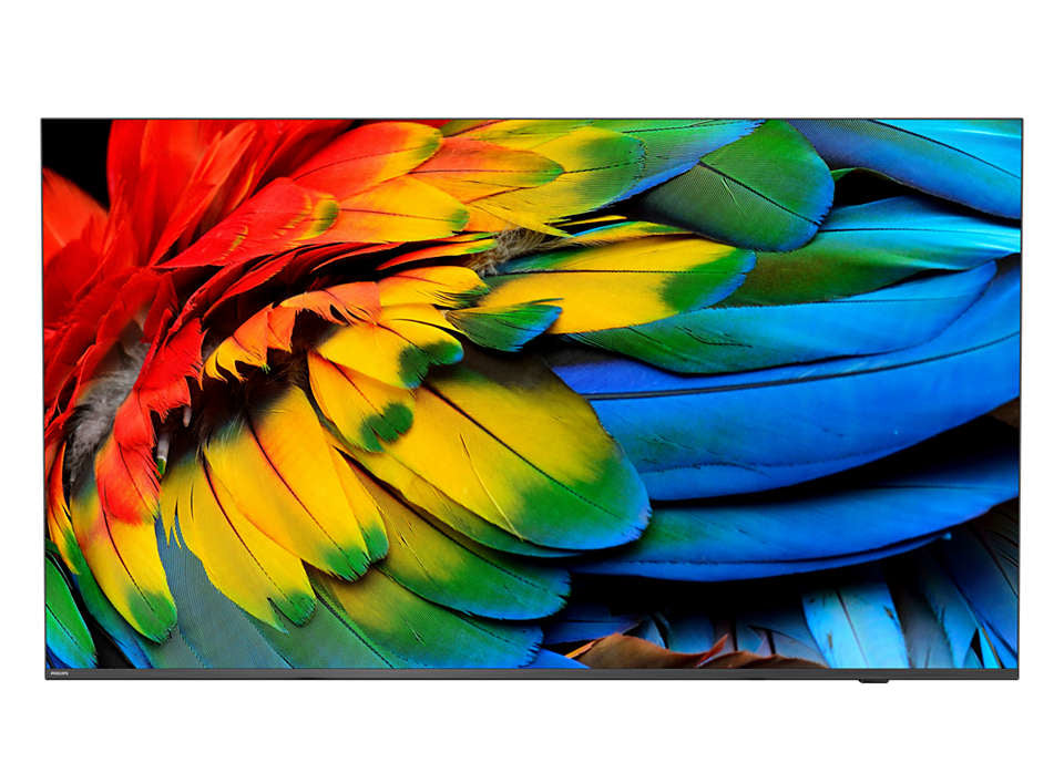 50HFL6214U 127 cm (50") 4K Ultra HD Smart TV Wifi Antracita 400 cd / m Pantalla flexible