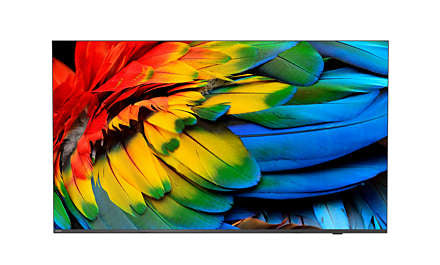 58HFL6214U/12 Televisor 147 3 cm (58") 4K Ultra HD Wifi Antracita 400 cd / m