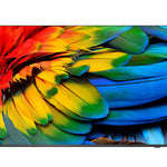 75HFL6214U 190 5 cm (75") 4K Ultra HD Smart TV Wifi Antracita 400 cd / m