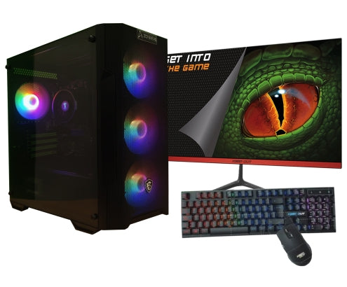 AMD Ryzen 5 4650G/16GB/1 Tb NVMe/Monitor 21.5 teclado y ratn Windows 11 Ordenador GamingPC