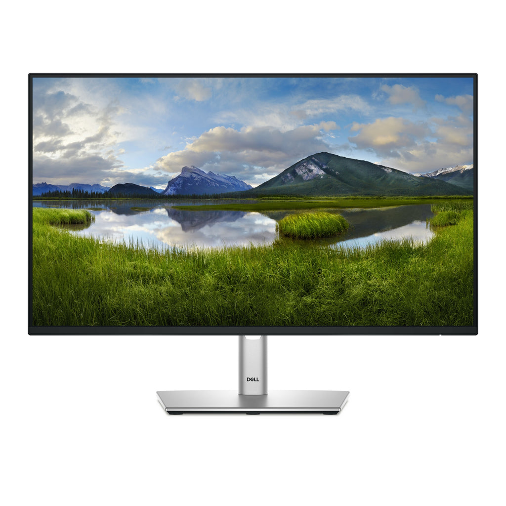 Pro Plus P2425HE pantalla para PC 60 5 cm (23.8") 1920 x 1080 Pixeles Full HD LCD Negro