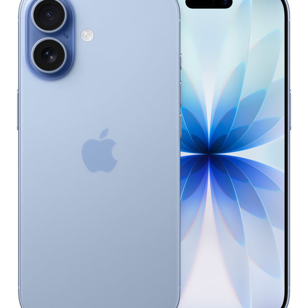 iPhone 17 16 cm (6.3") SIM doble iOS 26 5G USB Tipo C 256 GB Azul