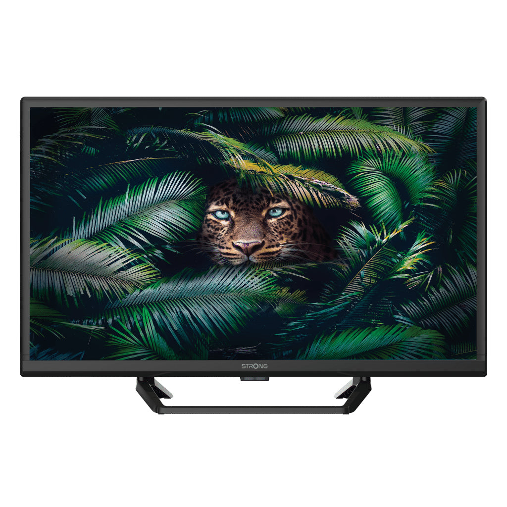SRT 24HE4023C 61 cm (24") HD Negro 180 cd / m
