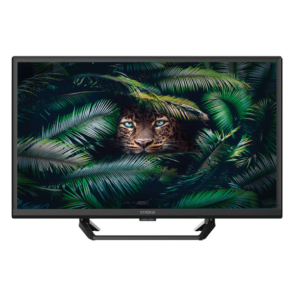 SRT 24HE4023C 61 cm (24") HD Negro 180 cd / m