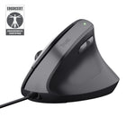 Bayo II ratn Mano derecha USB tipo A 2400 DPI